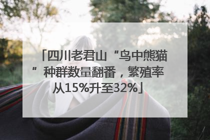 四川老君山“鸟中熊猫”种群数量翻番，繁殖率从15%升至32%