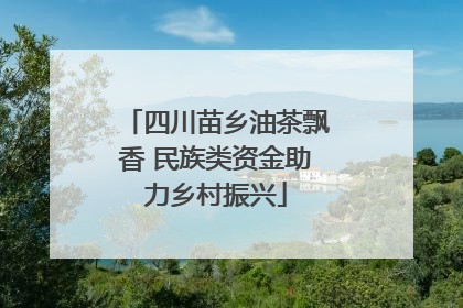 四川苗乡油茶飘香 民族类资金助力乡村振兴