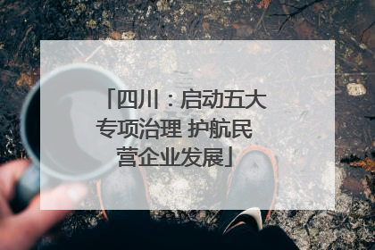 四川：启动五大专项治理 护航民营企业发展