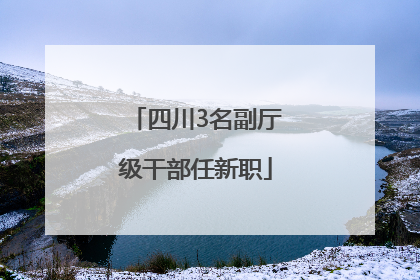 四川3名副厅级干部任新职