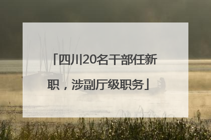 四川20名干部任新职，涉副厅级职务
