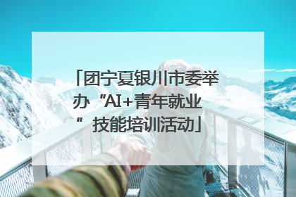 团宁夏银川市委举办“AI+青年就业”技能培训活动