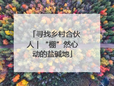 寻找乡村合伙人｜“棚”然心动的盐碱地