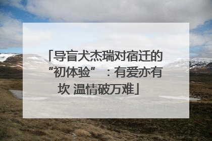 导盲犬杰瑞对宿迁的“初体验”：有爱亦有坎 温情破万难