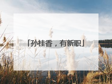 孙桂香，有新职