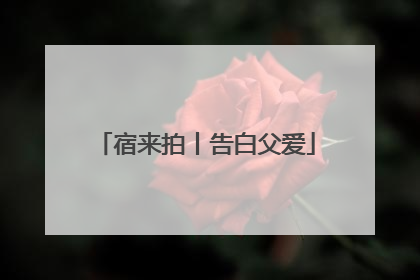 宿来拍丨告白父爱