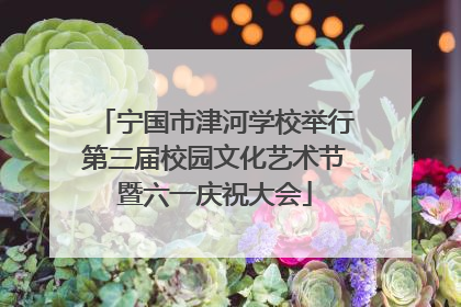 宁国市津河学校举行第三届校园文化艺术节暨六一庆祝大会
