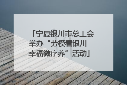 宁夏银川市总工会举办“劳模看银川 幸福微疗养”活动