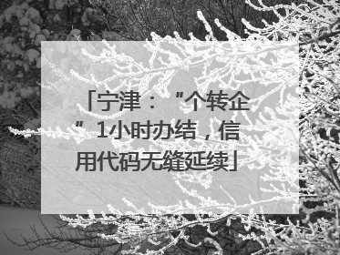 宁津：“个转企”1小时办结，信用代码无缝延续