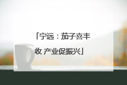 宁远：茄子喜丰收 产业促振兴