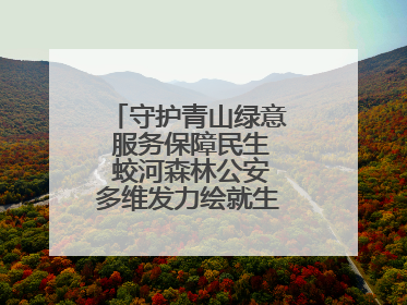 守护青山绿意 服务保障民生 蛟河森林公安多维发力绘就生态惠民新画卷