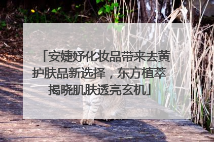 安婕妤化妆品带来去黄护肤品新选择，东方植萃揭晓肌肤透亮玄机
