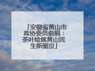 安徽省黄山市政协委员俞娟：茶叶绘就黄山民生新图景
