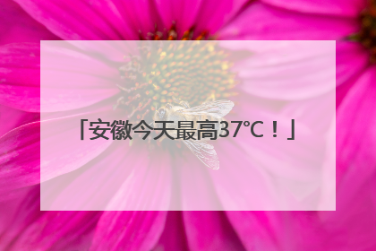 安徽今天最高37℃！
