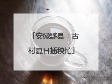 安徽黟县：古村夏日插秧忙