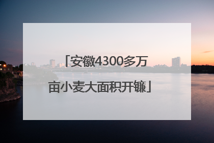 安徽4300多万亩小麦大面积开镰