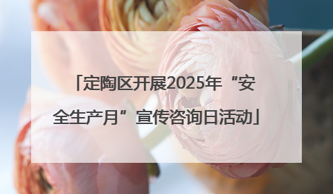 定陶区开展2025年“安全生产月”宣传咨询日活动