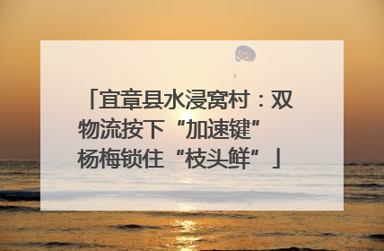 宜章县水浸窝村：双物流按下“加速键” 杨梅锁住“枝头鲜”