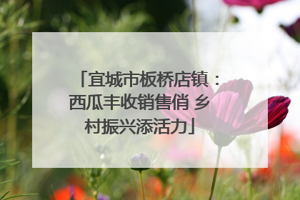 宜城市板桥店镇：西瓜丰收销售俏 乡村振兴添活力
