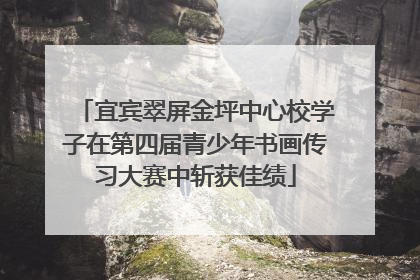 宜宾翠屏金坪中心校学子在第四届青少年书画传习大赛中斩获佳绩
