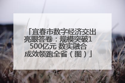 宜春市数字经济交出亮眼答卷：规模突破1500亿元 数实融合成效领跑全省（图）