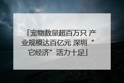 宠物数量超百万只 产业规模达百亿元 深圳“它经济”活力十足
