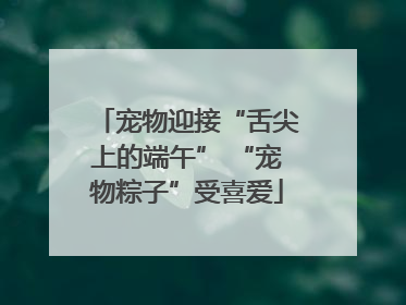 宠物迎接“舌尖上的端午” “宠物粽子”受喜爱