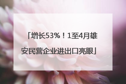 增长53%！1至4月雄安民营企业进出口亮眼