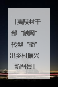 夷陵村干部“触网”转型“播”出乡村振兴新图景