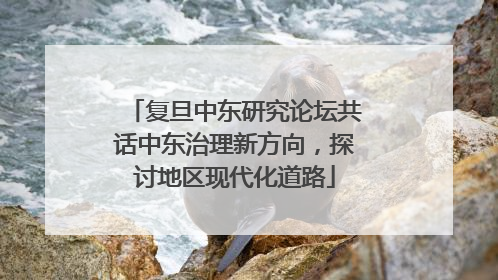 复旦中东研究论坛共话中东治理新方向，探讨地区现代化道路