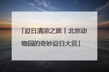 夏日清凉之旅丨北京动物园的奇妙夏日大赏