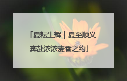 夏耘生辉｜夏至顺义奔赴浓浓麦香之约