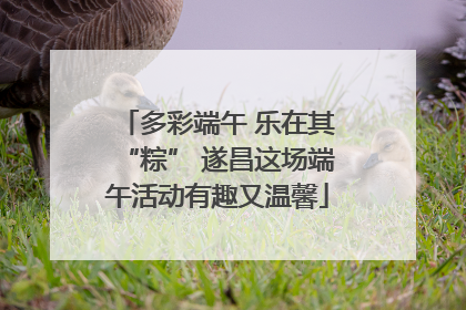 多彩端午 乐在其“粽” 遂昌这场端午活动有趣又温馨