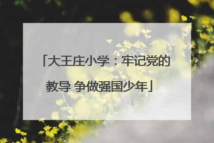 大王庄小学：牢记党的教导 争做强国少年