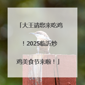 大王请您来吃鸡！2025临沂炒鸡美食节来啦！