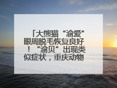 大熊猫“渝爱”眼周脱毛恢复良好！“渝贝”出现类似症状，重庆动物园回应