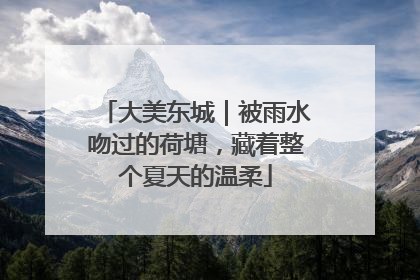 大美东城｜被雨水吻过的荷塘，藏着整个夏天的温柔