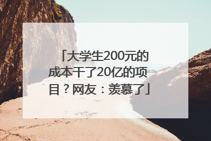 大学生200元的成本干了20亿的项目？网友：羡慕了