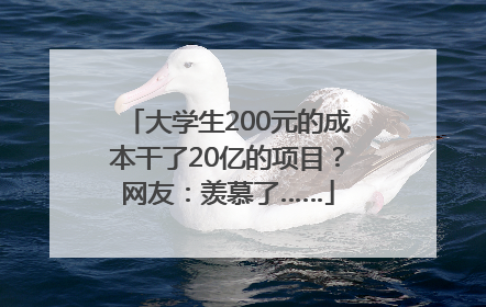 大学生200元的成本干了20亿的项目？网友：羡慕了……