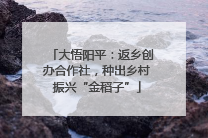 大悟阳平：返乡创办合作社，种出乡村振兴“金稻子”