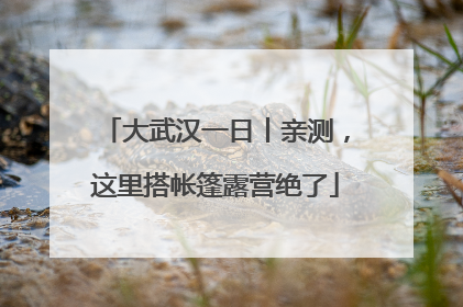 大武汉一日丨亲测，这里搭帐篷露营绝了