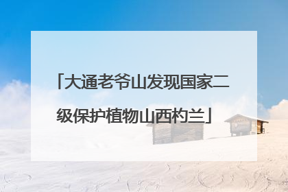 大通老爷山发现国家二级保护植物山西杓兰