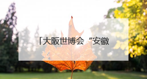 大阪世博会“安徽活动日”：AI赋能“皖”美生活