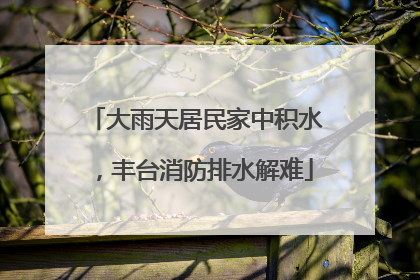大雨天居民家中积水，丰台消防排水解难