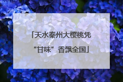 天水秦州大樱桃凭“甘味”香飘全国