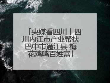 央媒看四川丨四川内江市产业帮扶巴中市通江县 梅花鸡鸣百姓富