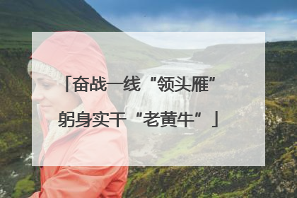 奋战一线“领头雁” 躬身实干“老黄牛”