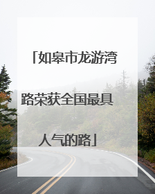 如皋市龙游湾路荣获全国最具人气的路