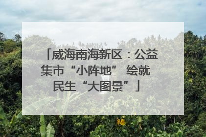 威海南海新区：公益集市“小阵地” 绘就民生“大图景”