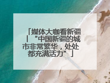 媒体大咖看新疆丨“中国新疆的城市非常繁华，处处都充满活力”